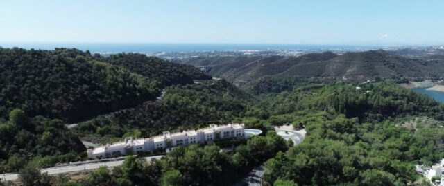 Almazara Forest Istan